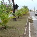 Emsurb conclui hoje limpeza da avenida Melício Machado - Avenida estadual recebe limpeza da PMA