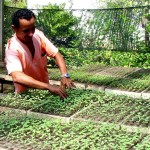 Horto da Emsurb mantém estoque de 100 mil mudas de plantas variadas - Fotos: Wellington Barreto