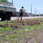 reas verdes de Aracaju recebem cuidados diários de irrigação - Irrigação é fundamental para manter as praças bonitas