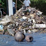 Solenidade marca lançamento da Campanha “Mangue é Vida” - Comunidade marcou presença na solenidade