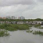 Famílias que habitam em palafitas na Coroa do Meio estão ansiosas pela mudança de vida - Fotos: Márcio Garcez