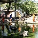 Zoo Parque da praça Tobias Barreto recebe manutenção constante - Fotos: Wellington Barreto