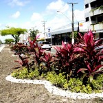 Praças e logradouros estão sendo preparados para o plantio de mudas - Fotos: Wellington Barreto