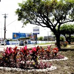 Praças e logradouros estão sendo preparados para o plantio de mudas - Fotos: Wellington Barreto