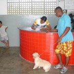 Saúde Municipal imuniza mais de 47 mil animais na Campanha de Vacinação Antirábica - Campanha atingiu 70% da meta