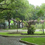 Emsurb utiliza mais de 9 mil mudas para revitalizar jardins do Centro de Aracaju  - Fotos: Márcio Garcez