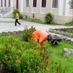 Emsurb utiliza mais de 9 mil mudas para revitalizar jardins do Centro de Aracaju  - Fotos: Márcio Garcez