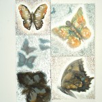 Exposição Metamorfose será aberta hoje na Galeria de Artes Álvaro Santos - Fotos: Edinah Mary