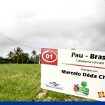 Bosque do Sesquicentenário de Aracaju completa quatro meses  - Fotos: Wellington Barreto