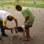 Secretário Municipal de Saúde discute eutanásia de animais com Ministério Público - Reunião aconteceu na sede do CCZ