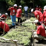 Alunos da oficina de Horticultura Orgânica iniciam módulo prático - Fotos: Wellington Barreto