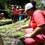 Alunos da oficina de Horticultura Orgânica iniciam módulo prático - Fotos: Wellington Barreto