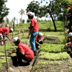 Alunos da oficina de Horticultura Orgânica iniciam módulo prático - Fotos: Wellington Barreto