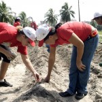 Curso qualifica pessoas na área de horticultura orgânica - Fotos: Wellington Barreto