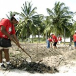Curso qualifica pessoas na área de horticultura orgânica - Fotos: Wellington Barreto