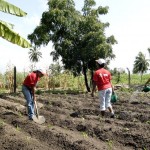 Curso qualifica pessoas na área de horticultura orgânica - Fotos: Wellington Barreto