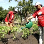 Curso qualifica pessoas na área de horticultura orgânica - Fotos: Wellington Barreto
