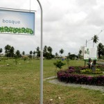 Bosque do Sesquicentenário recebe novas mudas em comemoração à chegada da Primavera - Fotos: Wellington Barreto