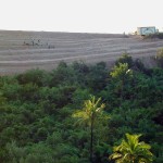 Bairro Santa Maria continua recebendo benefícios da Prefeitura de Aracaju - Fotos: Márcio Garcez