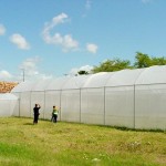 PMA abrirá cursos profissionalizantes na Unidade de encubação em empreendimentos alimentícios - Fotos: Wellington Barreto