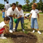 Crianças realizam plantio de espécies frutíferas no Parque da Sementeira - Plantio será a partir das 8 horas