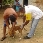 Campanha de Vacinação Antirábica termina neste sábado - Fotos: Ascom/SMS