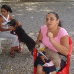 Saúde intensifica campanha de vacinação antirábica em Aracaju a partir de hoje - Meta é imunizar 80 mil animais