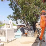 Cemitério São João Batista já está preparado para visitação do Dia de Finados - Fotos: Wellington Barreto