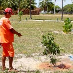 Bosque do Sesquicentenário já tem 300 espécies de árvores plantadas  - Fotos: Wellington Barreto