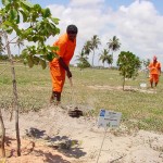 Bosque do Sesquicentenário já tem 300 espécies de árvores plantadas  - Fotos: Wellington Barreto