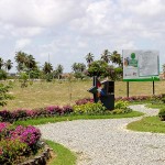 Bosque do Sesquicentenário já tem 300 espécies de árvores plantadas  - Fotos: Wellington Barreto