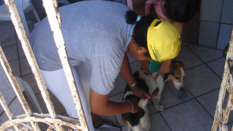 3.350 cães e gatos são vacinados em operação especial contra a raiva