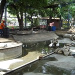 Emsurb repara estrutura do Zooparque da praça Tobias Barreto - Serviço teve início na segunda