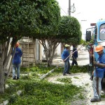 Serviço de podação é intensificado no conjunto Augusto Franco - Poda é realizada em todas as ruas do conjuntp