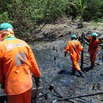 Emsurb executa limpeza manual no manguezal da Coroa do Meio  - Emsurb intensifica limpeza no manguezal