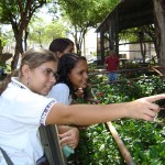 Emsurb faz reparos na estrutura do Zooparque da praça Tobias Barreto - Cuidados da PMA são diários