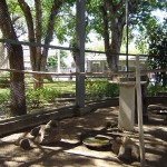 Emsurb faz reparos na estrutura do Zooparque da praça Tobias Barreto - Cuidados da PMA são diários