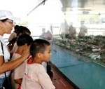 Semasc leva crianças e adolescentes do Peti a um passeio histórico na cidade de Aracaju - Fotos: Wellington Barreto