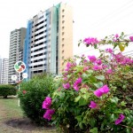 Prefeitura de Aracaju revitaliza e conserva logradouros públicos através de parcerias com empresas privadas   - Fotos: Wellington Barreto