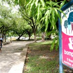Prefeitura de Aracaju revitaliza e conserva logradouros públicos através de parcerias com empresas privadas   - Fotos: Wellington Barreto