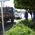 Emsurb executa serviço de podação na avenida Rio Grande do Sul e bairro Coroa do Meio - Yolanda Menezes reconhece a importância do serviço