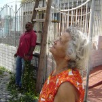 Emsurb executa serviço de podação na avenida Rio Grande do Sul e bairro Coroa do Meio - Yolanda Menezes reconhece a importância do serviço