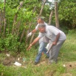CCZ mantém trabalho preventivo à expansão do Caramujo Africano - Fotos: Ascom/SMS