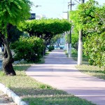 Ciclovia da avenida Heráclito Rollemberg em fase de finalização - Fotos: Wellington Barreto