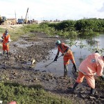 Recuperação do Manguezal e Educação Ambiental da comunidade - Fotos: Wellington Barreto