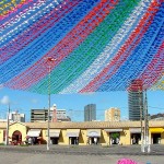 Comerciantes dos mercados municipais já se preparam para o Forró Caju - Fotos: Márcio Garcez