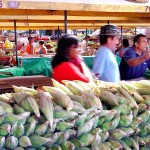 Comerciantes dos mercados municipais já se preparam para o Forró Caju - Fotos: Márcio Garcez
