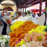 Concluída reforma da Passarela das Flores do Mercado Thales Ferraz - Fotos: Márcio Garcez