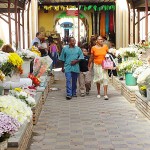 Concluída reforma da Passarela das Flores do Mercado Thales Ferraz - Fotos: Márcio Garcez