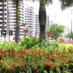 Administração municipal preserva praças e avenidas da cidade - Fotos: Wellington Barreto